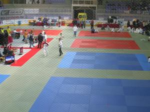 DSCF6803