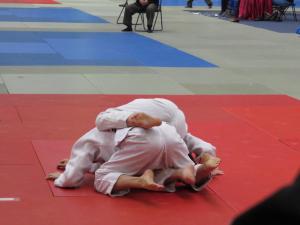 IMG 4957