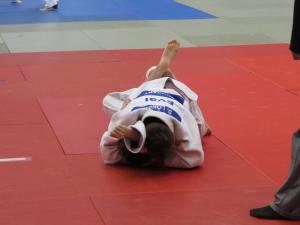 IMG 4959