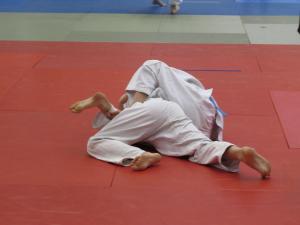 IMG 4964